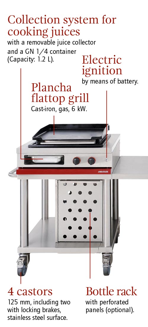 Plancha flattop grill Mobichef